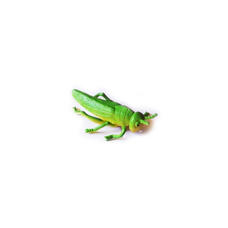 Geocaching 'Versteck magnetisches Insekt Roach Kakerlake mit Logstreifen NANO 